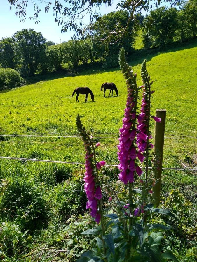 Kerryanna Country House Bed And Breakfast Mevagissey Ngoại thất bức ảnh