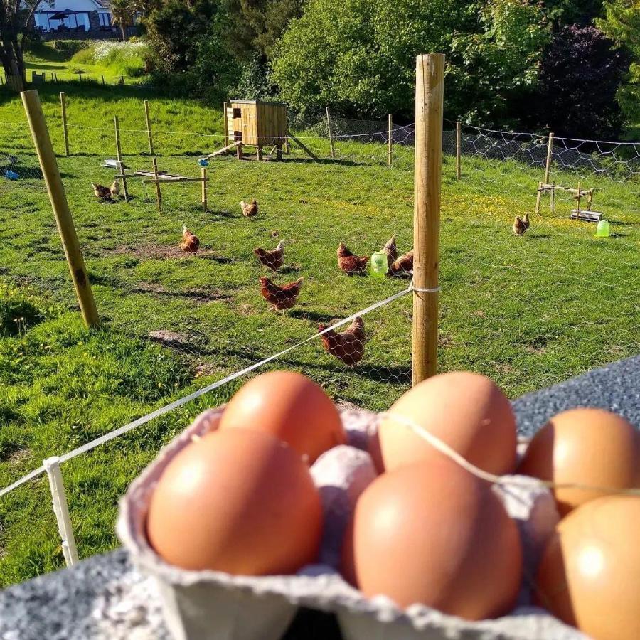 Kerryanna Country House Bed And Breakfast Mevagissey Ngoại thất bức ảnh