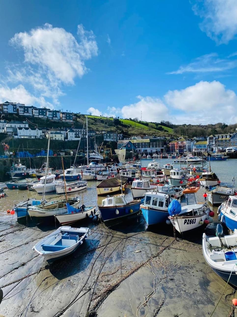 Kerryanna Country House Bed And Breakfast Mevagissey Ngoại thất bức ảnh
